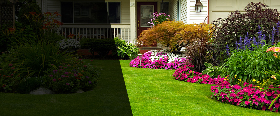 Barto Landscapers